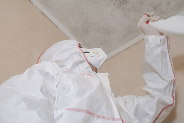Best Local Mold Removal Service  in Riner, VA