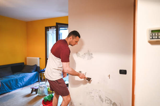 Best Home Mold Removal  in Riner, VA